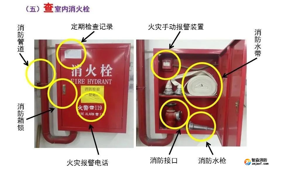 1650700235845222.jpg 1650700235845222.jpg